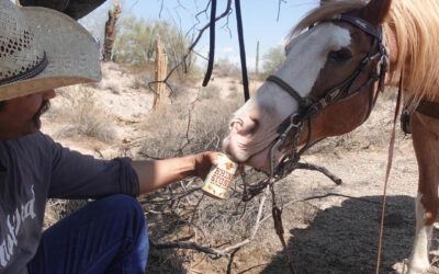 Arizona Entrepreneur Unveils Rhinestone Extra Light