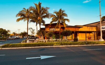 Hawaii Bottle Shop Expands Non-Alcoholic Beer Assortment