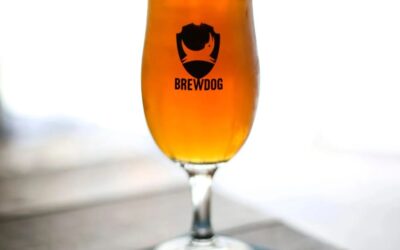 BrewDog Starts Sale Process, Refocuses on Beer